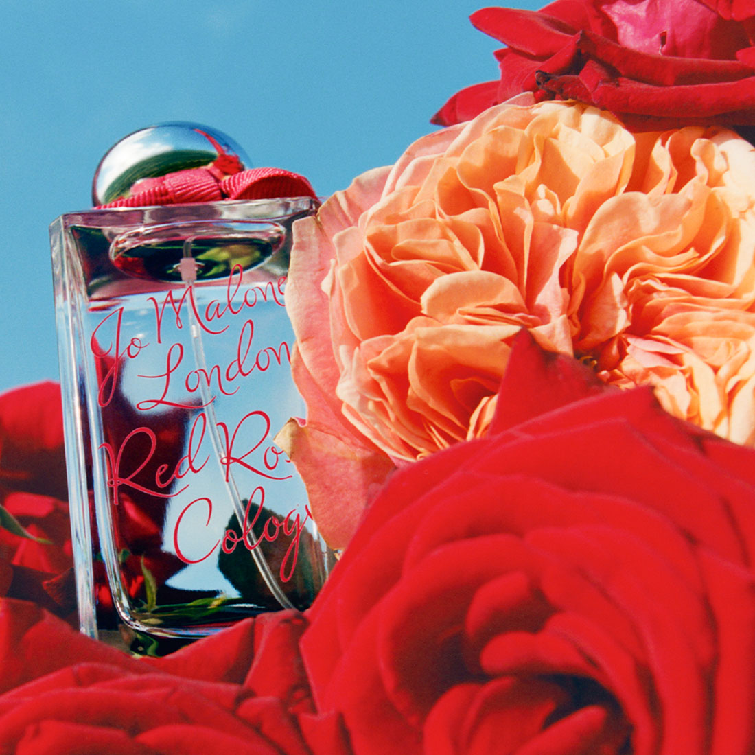 Take It From Us: Rose Fragrances Are Making A Comeback