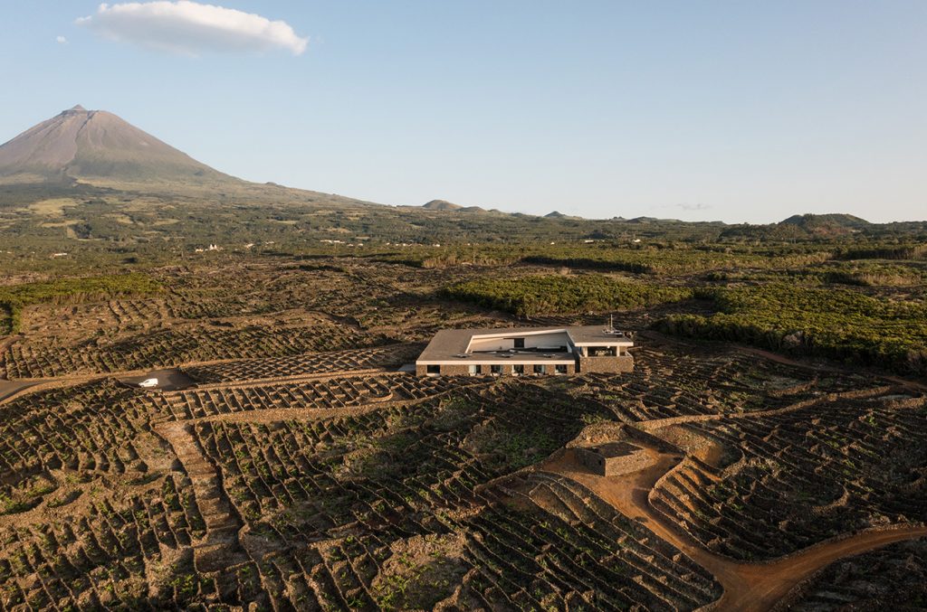 azores-to-get-own-regional-vine-and-wine-institute