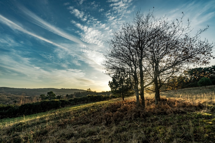 25-literary-places-in-the-uk-for-book-lovers