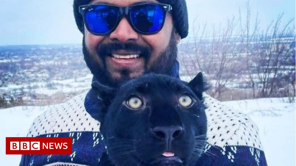 ukraine:-india-doctor-stranded-with-a-jaguar-and-panther