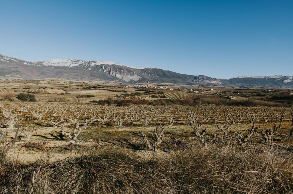 la-rioja-alta-expands-with-‘artisanal-vineyard’-deals