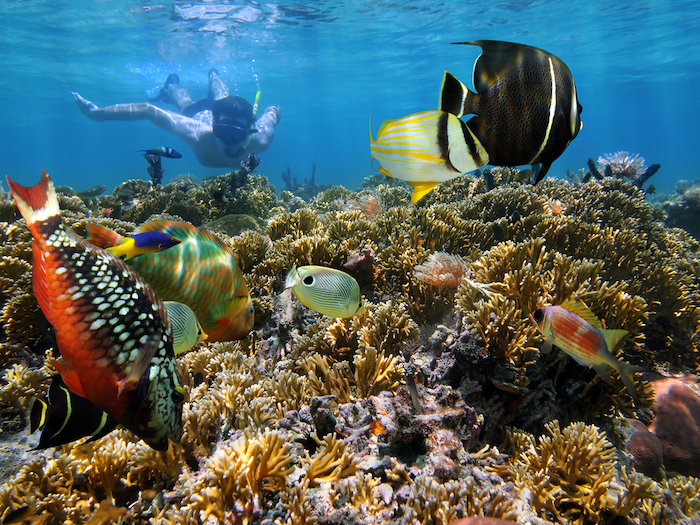 the-best-places-for-snorkeling-in-mexico