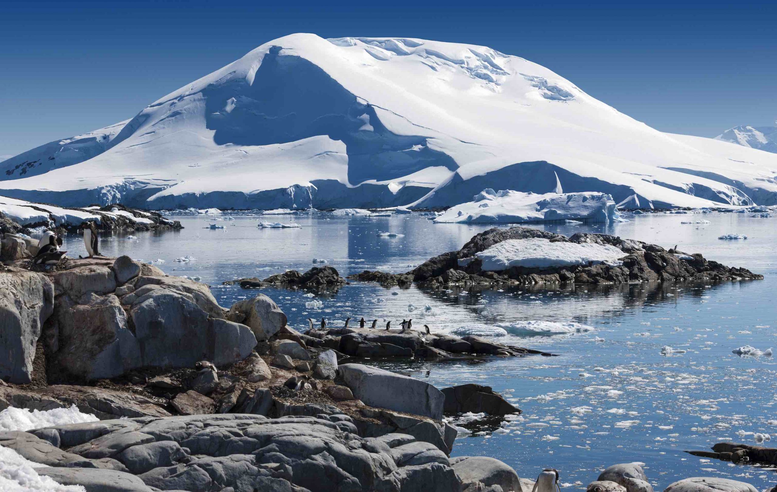 take-a-trip-to-antarctica-with-a-mystery-explorer