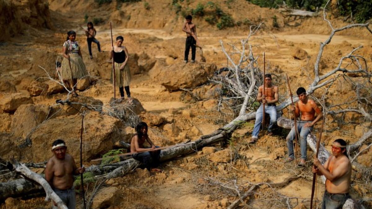 brazil’s-amazon-deforestation-sets-first-quarter-record-despite-march-dip