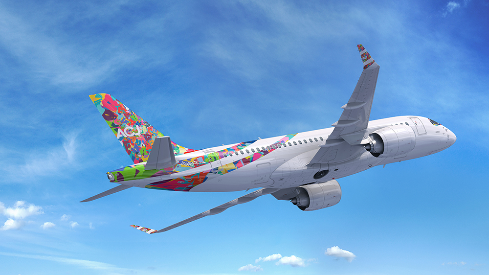 private-jets-are-becoming-colorful-canvases-for-adventurous-owners