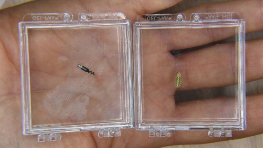 california-start-up-sends-tiny-robots-on-voyage-into-brains