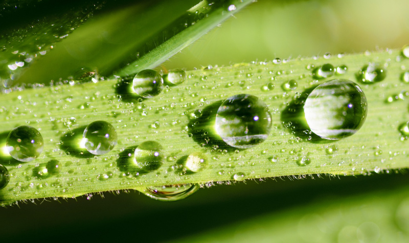 jour-de-la-terre-:-les-adresses-eco-friendly-et-zero-dechet-de-paris