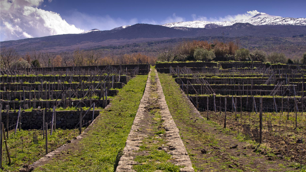 potenza-dell’etna,-storia-di-tascante