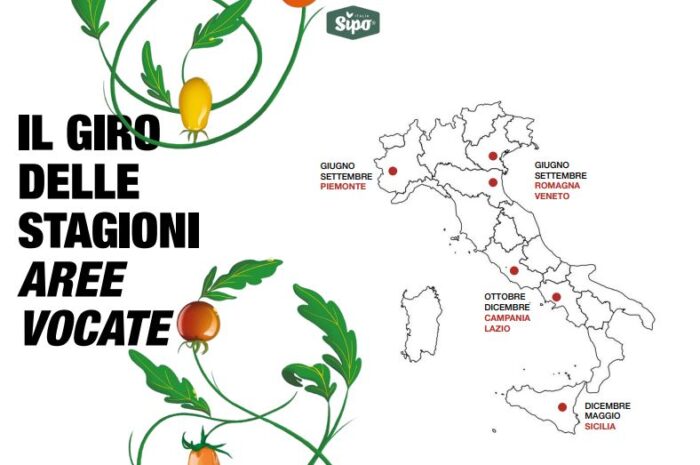 analisi-sensoriale-del-pomodoro-per-recuperare-il-sapore-di-una-volta-–-l’ambizioso-progetto-di-sipo-italia-con-la-food-expert-lisa-fontana