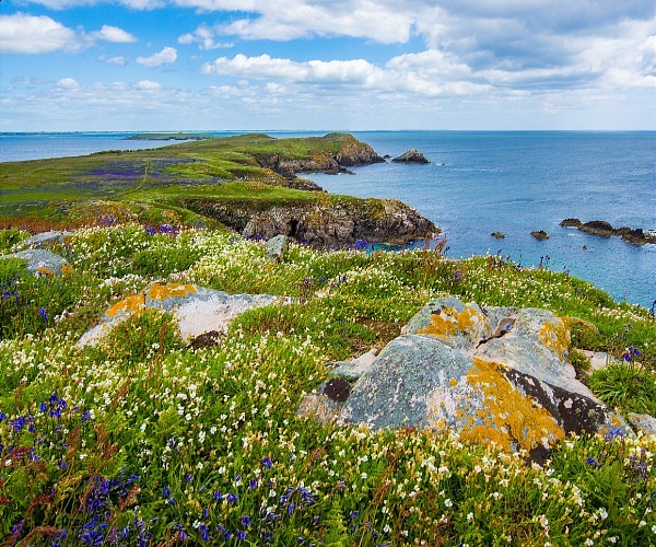 why-ireland-should-be-your-next-summer-destination