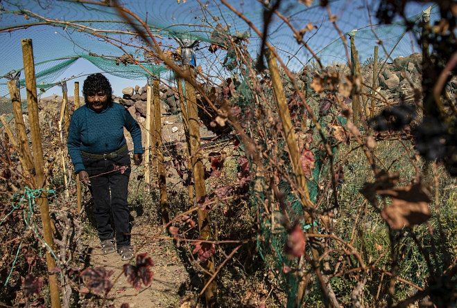 taste-the-desert-in-these-chilean-wines