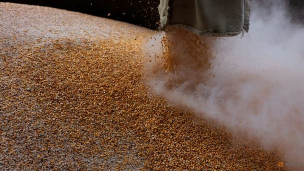 kremlin-says-sanctions-must-be-lifted-for-russian-grain-to-reach-markets