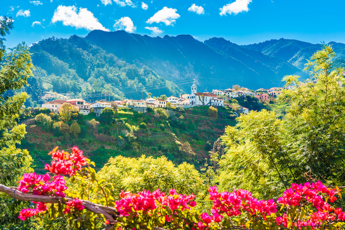 7-interesting-facts-about-madeira