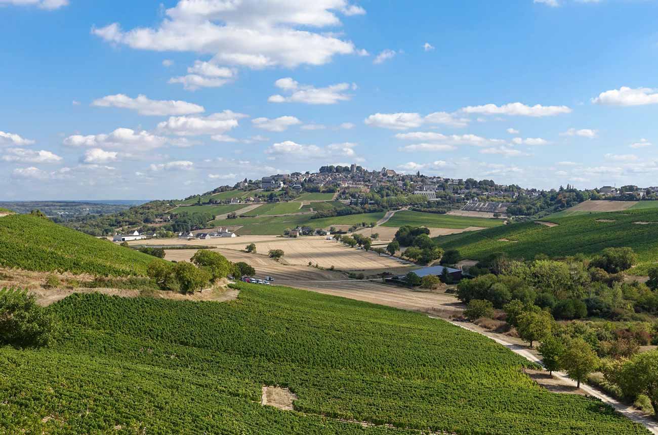 bollinger-group-purchases-sancerre-estate-hubert-brochard