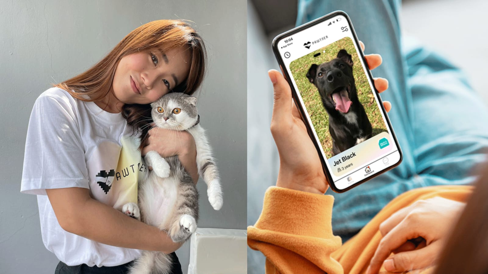 looking-to-adopt-a-dog-or-cat?-this-millennial-wants-to-simplify-the-process-with-a-matchmaking-app