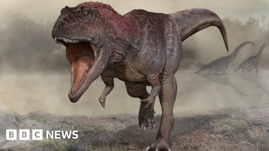 dinosaur-finding-hints-at-why-t-rex-had-small-arms