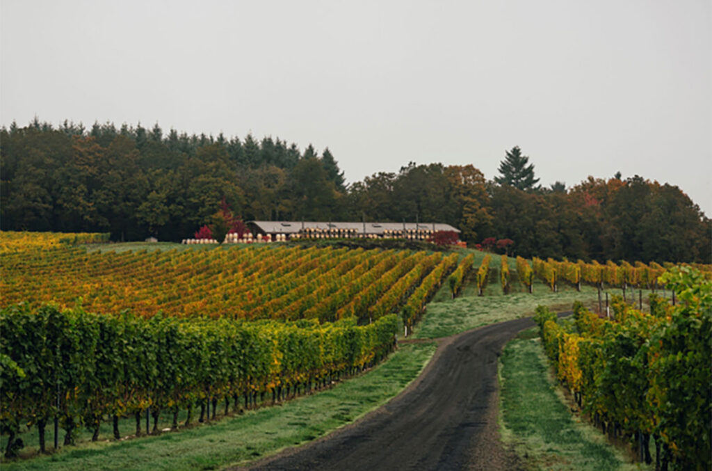 new-oregon-wine-appellation-‘mount-pisgah’-is-created