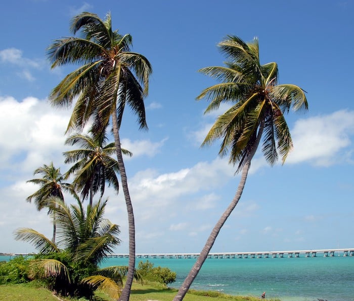 7-of-the-best-beaches-in-the-florida-keys