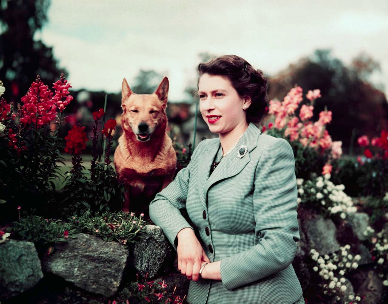 queen’s-beloved-corgis-to-get-a-new-royal-home