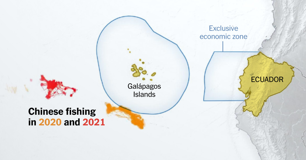 how-china-targets-the-global-fish-supply