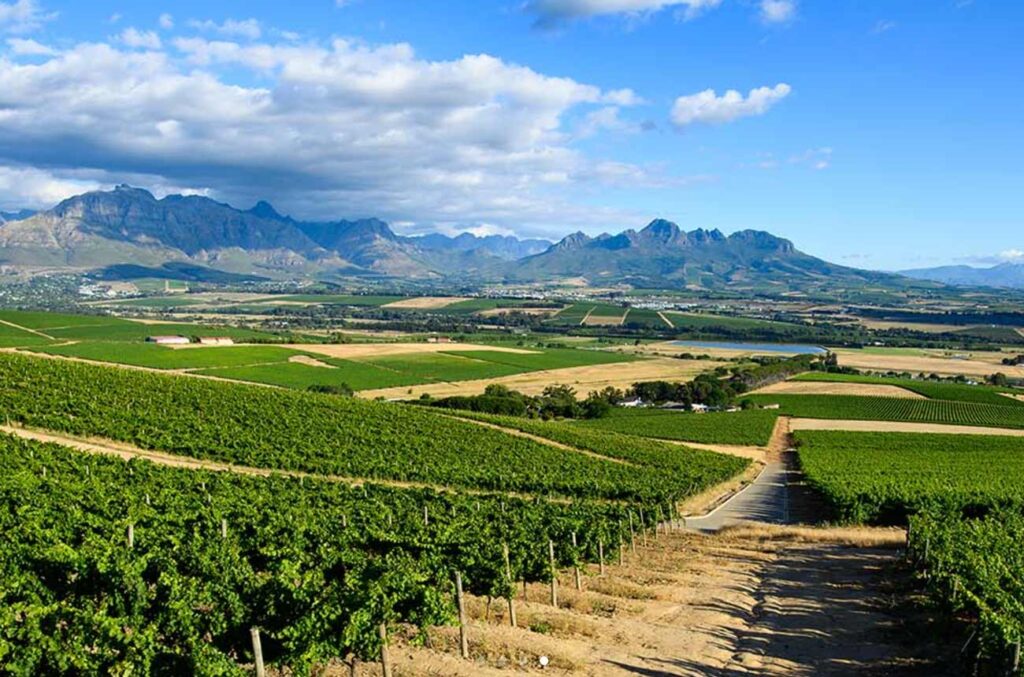 grands-chais-de-france-purchases-historic-stellenbosch-winery-–-decanter