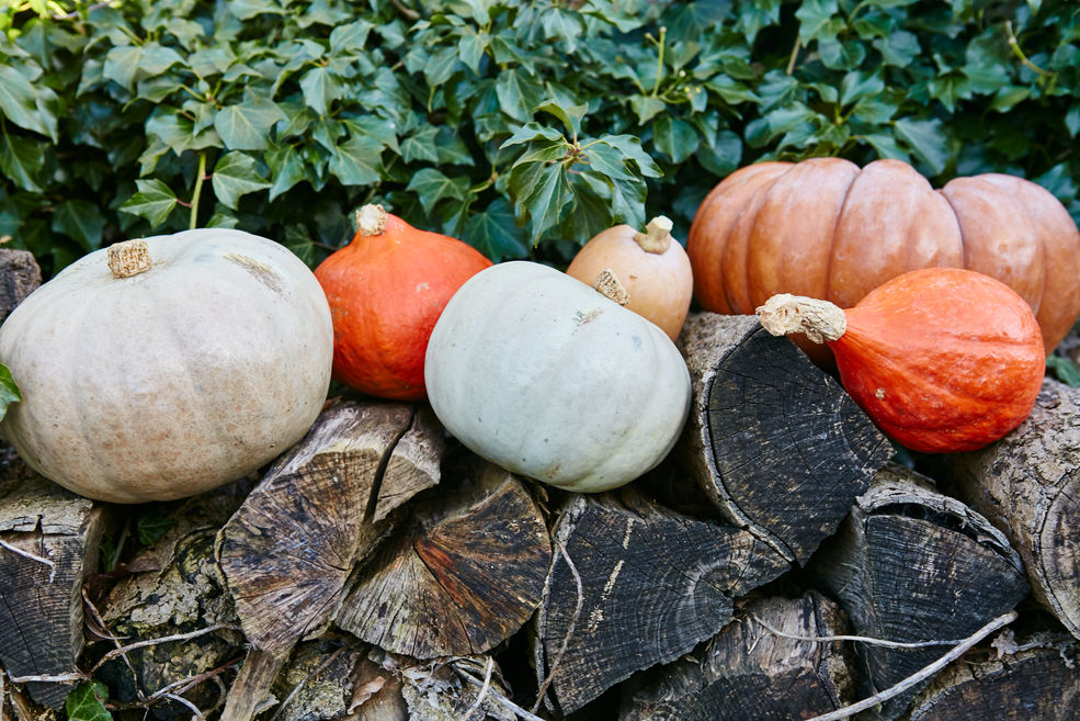 how-to-reduce-pumpkin-waste-|-features-|-jamie-oliver