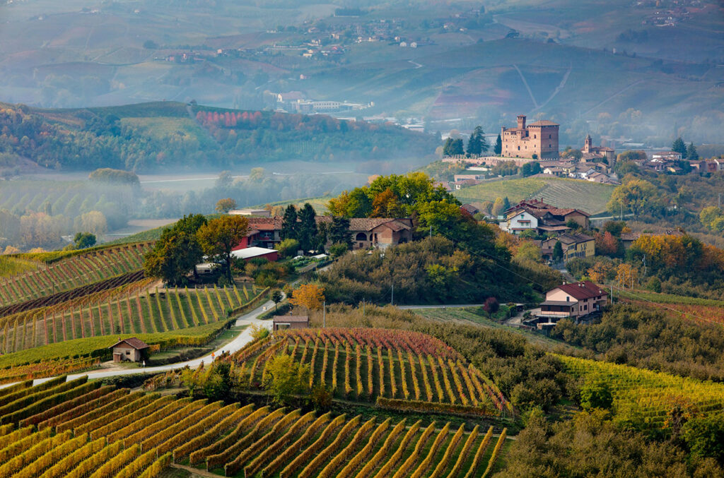 second-barolo-en-primeur-auction-raises-more-than-$769,000-–-decanter