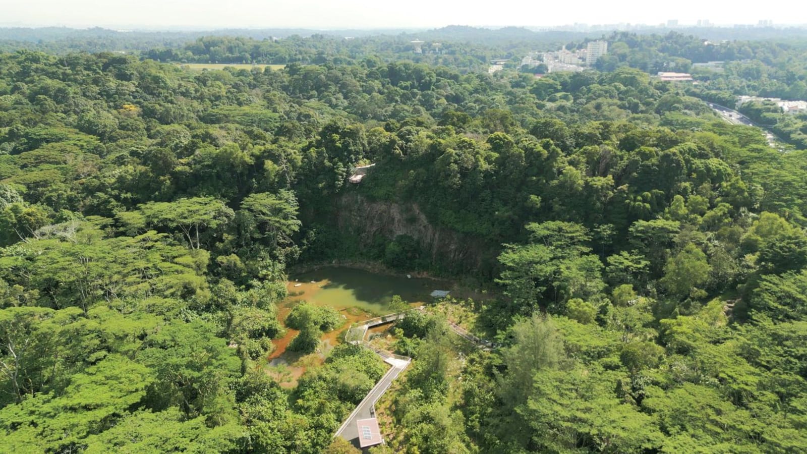 revamped-rifle-range-nature-park-opens-with-7km-trails,-31m-lookout-point-and-quarry-wetland