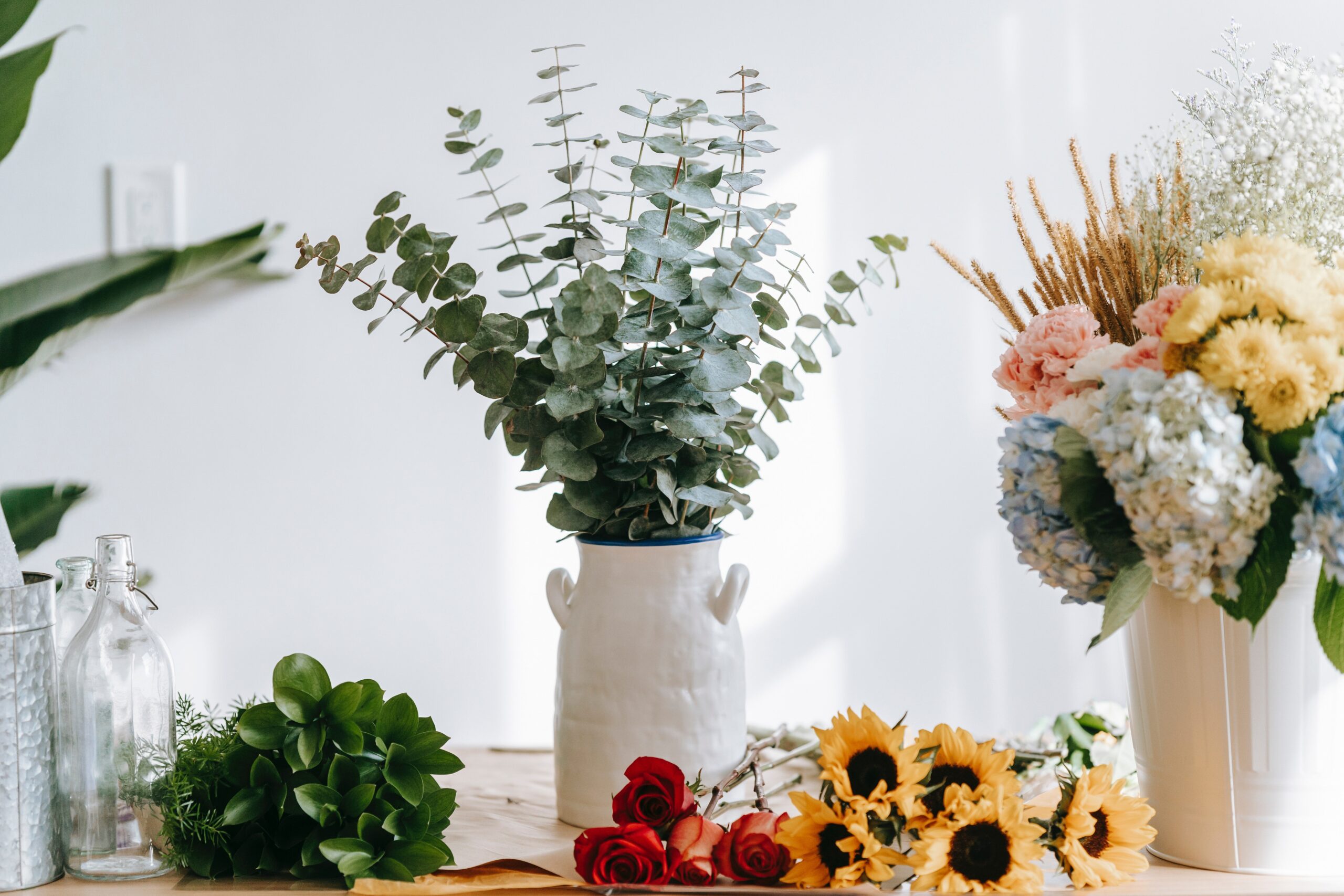 le-piante-“proibite”-da-non-avere-in-casa-secondo-il-feng-shui