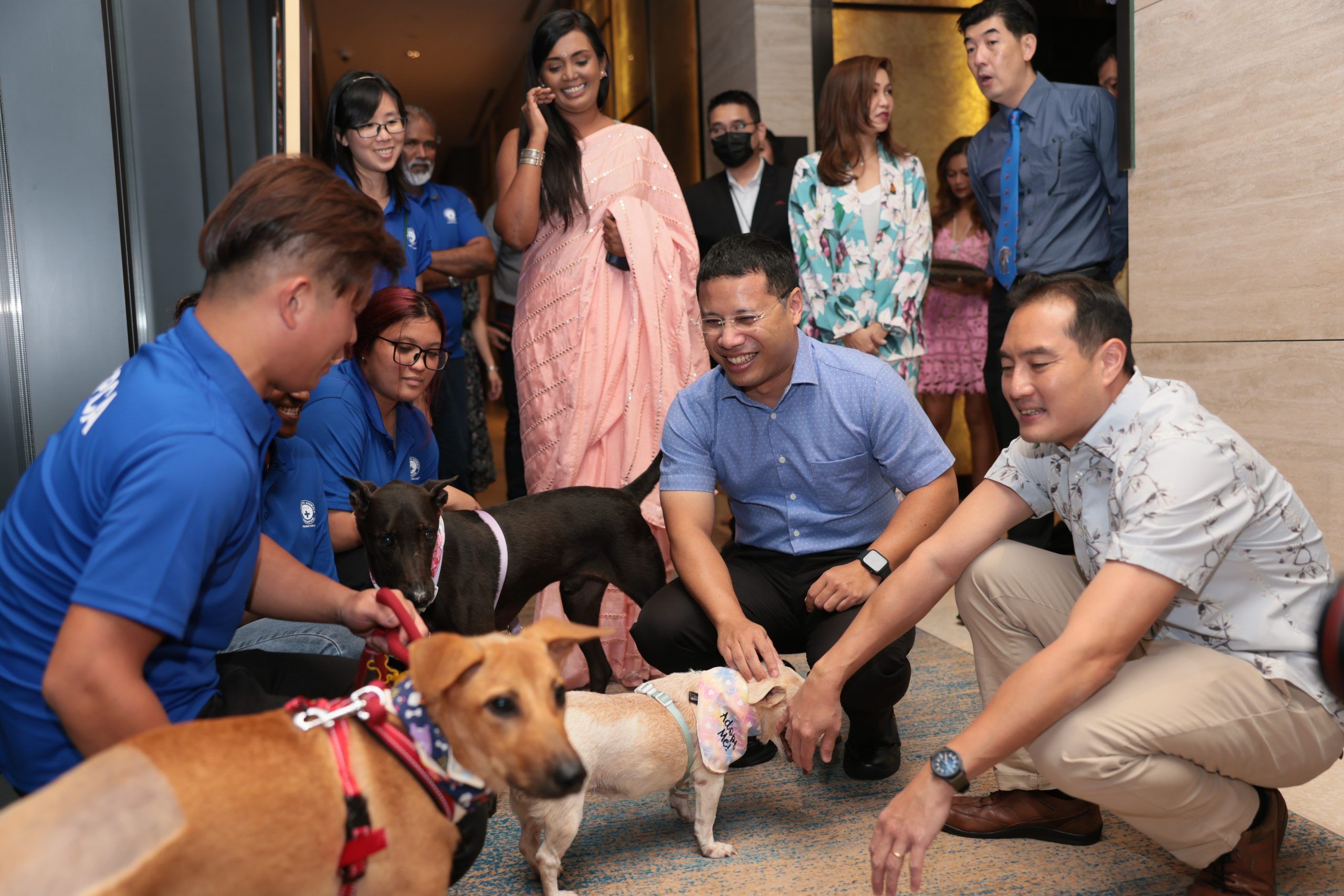 event-gallery:-spca's-paws-for-a-cause