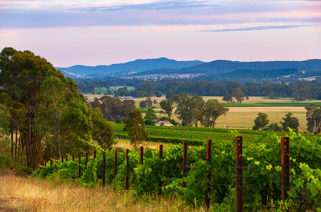 australian-winemakers-lobby-for-prosecco-name-amid-eu-talks-–-decanter