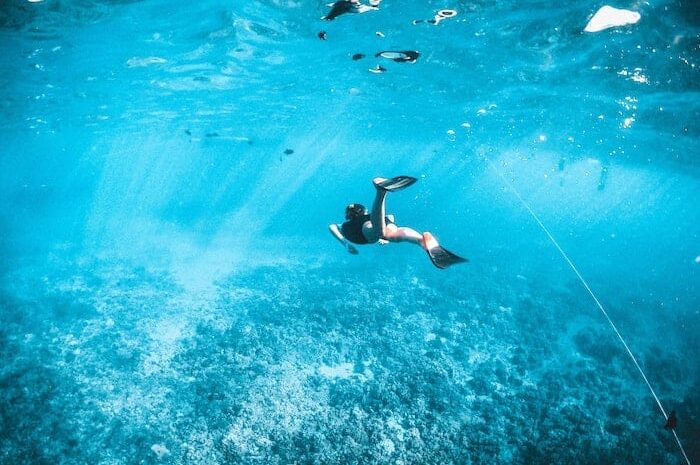 7-best-places-for-snorkeling-in-orlando-–-big-7-travel