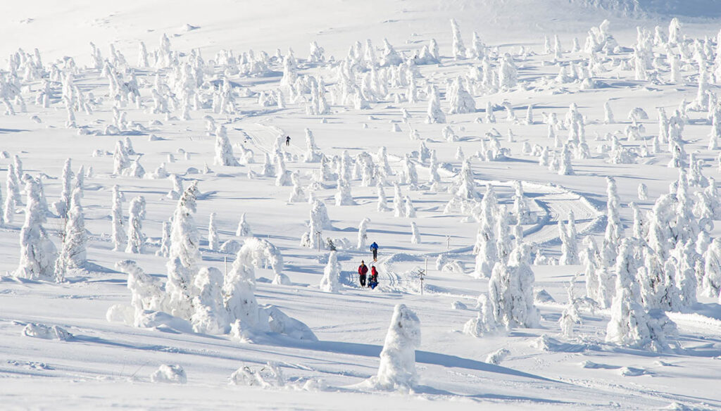 avventure-sotto-lo-zero:-la-piu-bella-fiaba-sotto-la-neve-si-vive-qui