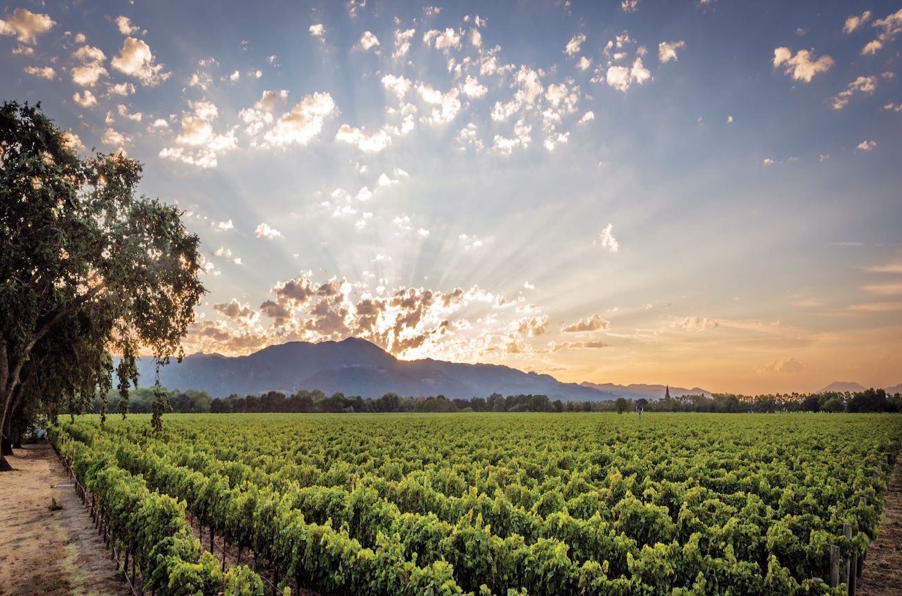 to-kalon:-napa-valley's-star-vineyard-gets-organic-certification-–-decanter