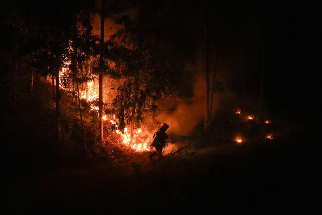 caldo-record-e-fuoco.-decine-di-morti-e-migliaia-di-feriti