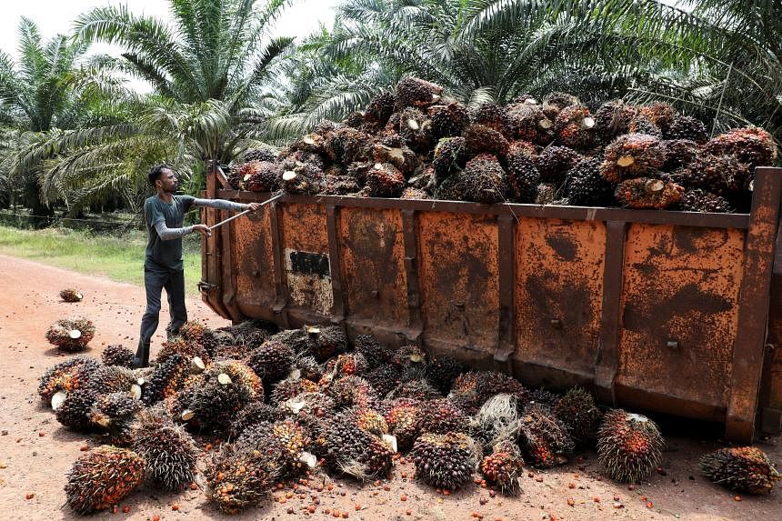 indonesia-to-suspend-some-palm-oil-export-permits:-officials