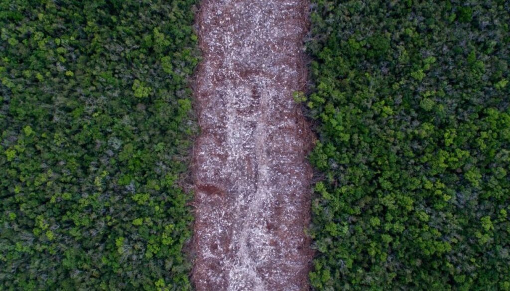 il-treno-dei-maya,-tra-meraviglie-e-polemiche