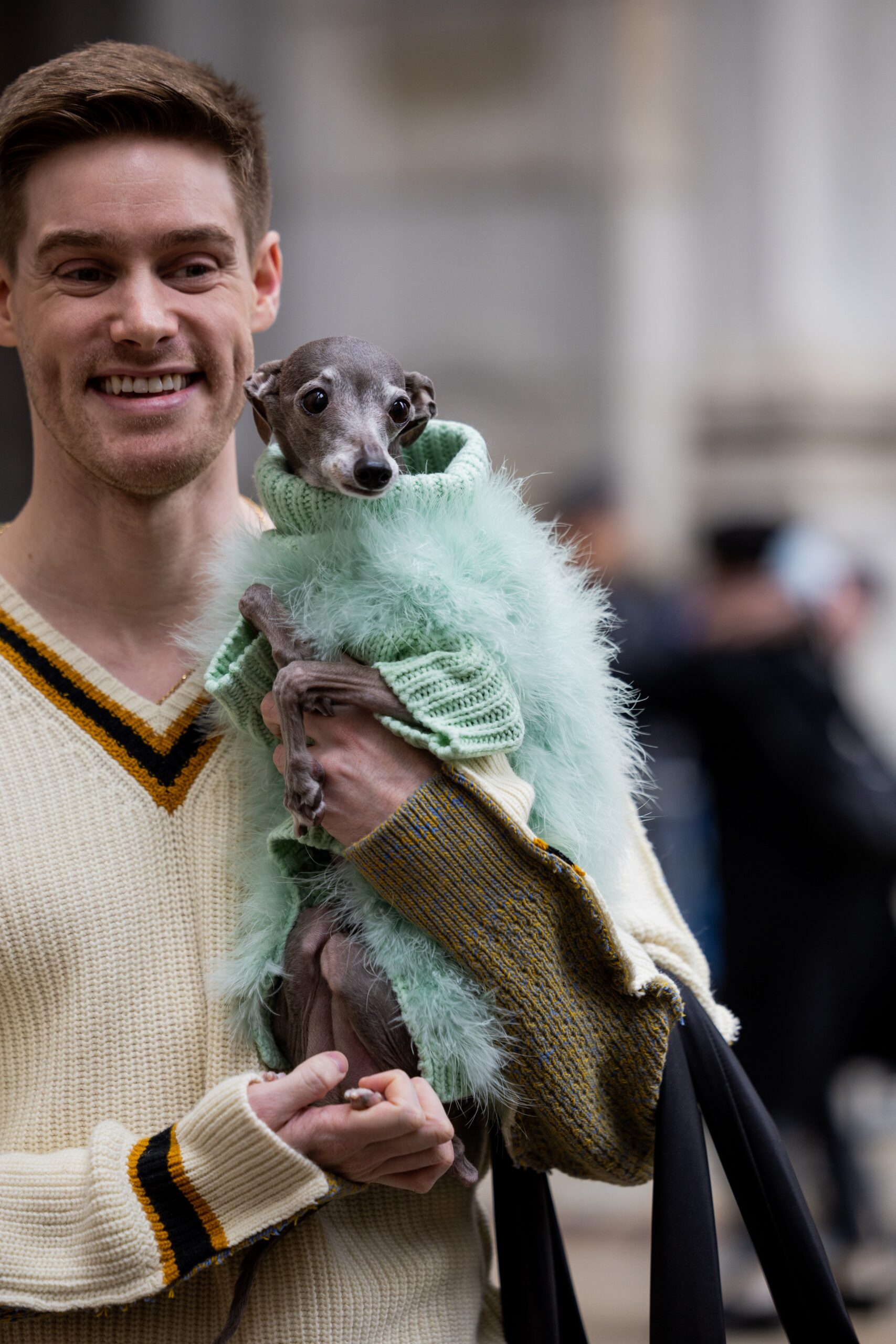 fashion-week-has-gone-to-the-dogs