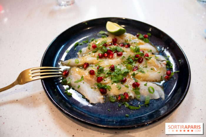 ou-manger-un-bon-ceviche-a-paris-?-nos-bonnes-adresses