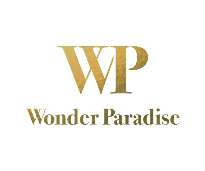 singapore’s-wonder-strategic-international-raises-6-figure-fund