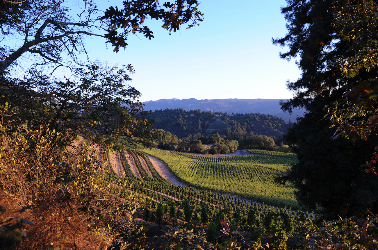 spring-mountain-vineyard:-producer-profile-&-10-wines-to-try-–-decanter