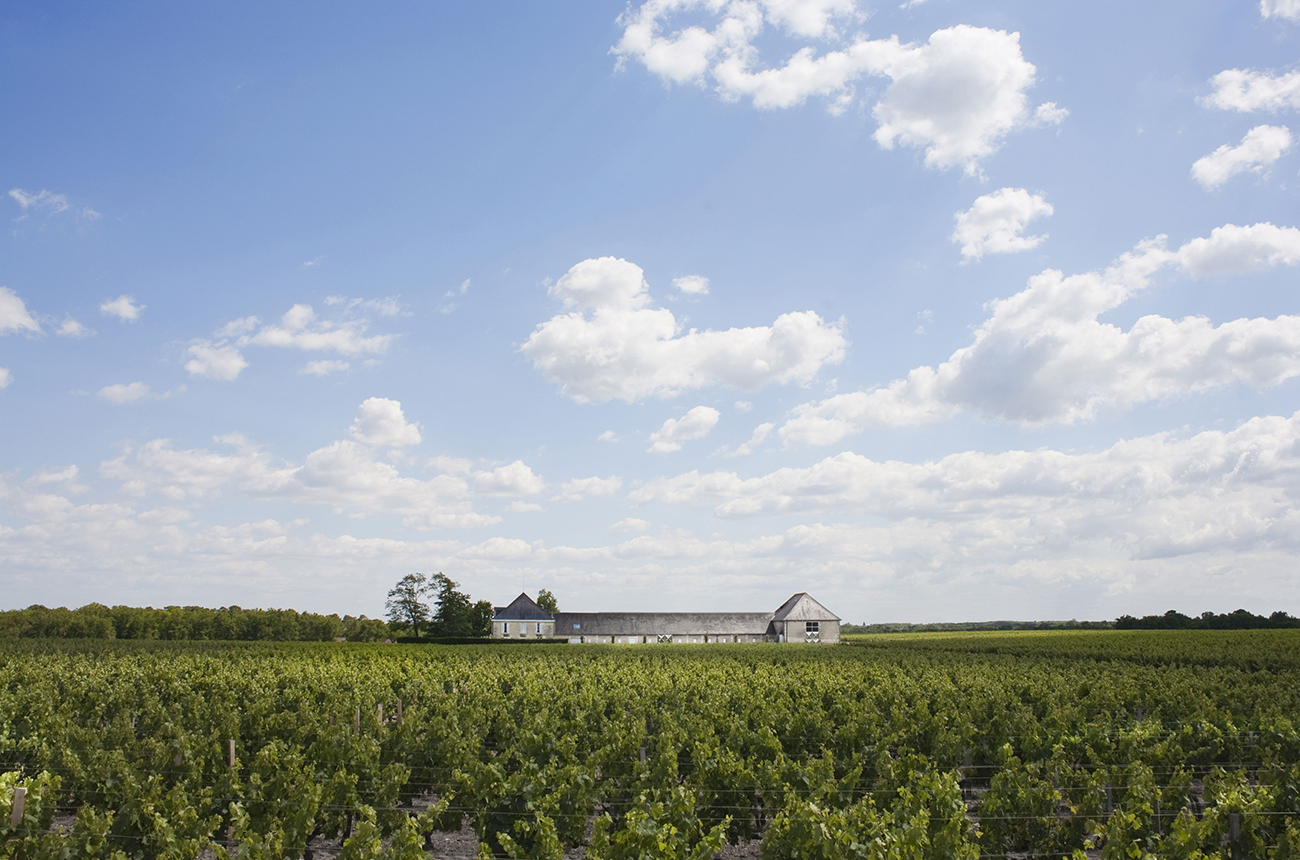 bordeaux-producer-chateau-chasse-spleen-purchases-chateau-brillette-–-decanter