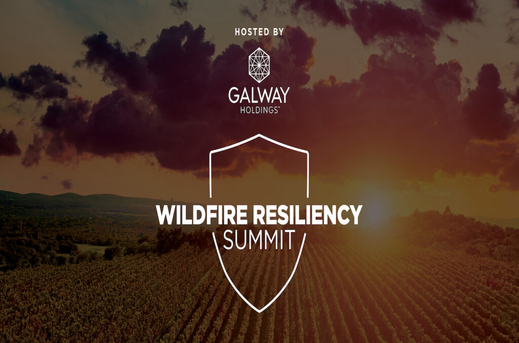 napa-valley-to-host-wildfire-resilience-summit-–-decanter