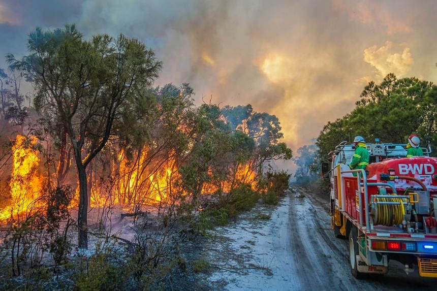 massive-australia-wildfires-increased-antarctic-ozone-hole,-study-shows