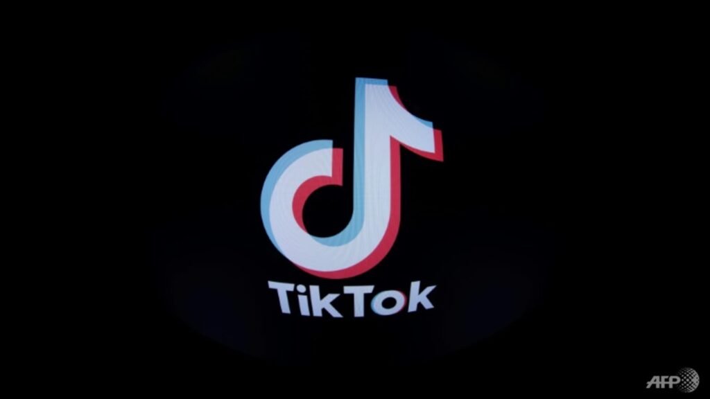 belgian-government-bans-tiktok-on-official-phones