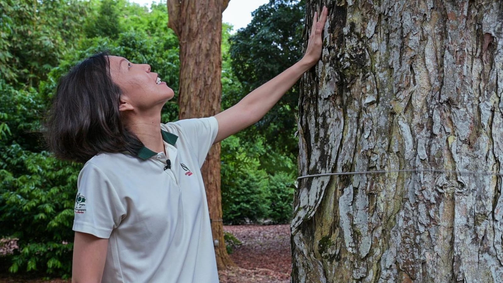 from-‘boring’-to-‘sexy’-subject:-tree-doctor-who-learnt-how-trees-speak-keeps-them-safe-for-humans