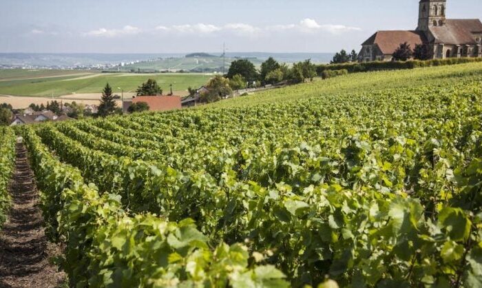 behind-the-scenes-at-bollinger:-two-centuries-of-fine-champagne