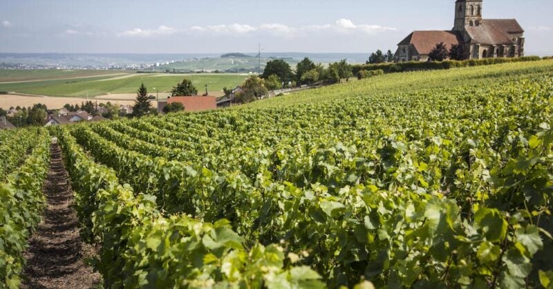 behind-the-scenes-at-bollinger:-two-centuries-of-fine-champagne