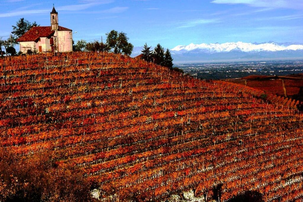 berebene,-dolcetto-e-grignolino:-12-vini-dal-migliore-rapporto-qualita-prezzo